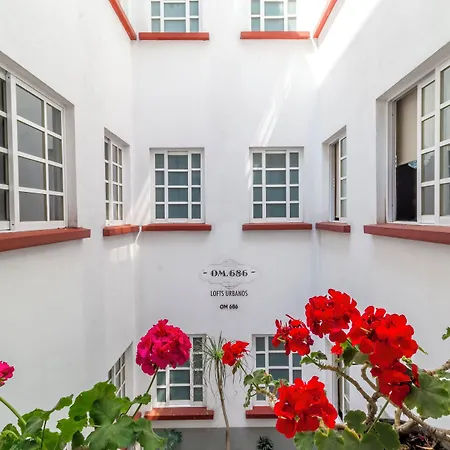 Om 686 Urban Lofts Narvarte