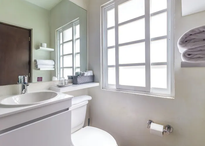 Hotel Om 686 Urban Lofts Narvarte