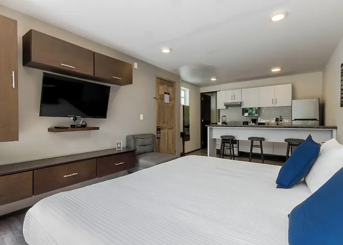 Om 686 Urban Lofts Narvarte 3*